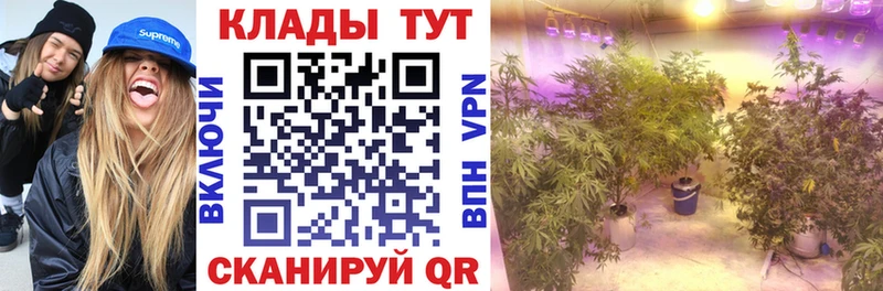 Продажа наркотиков Александровск-Сахалинский A-PVP Меф мяу мяу МАРИХУАНА