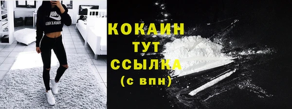 spice Кукмор